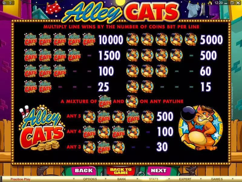 Alley Cats slots Info and Rules