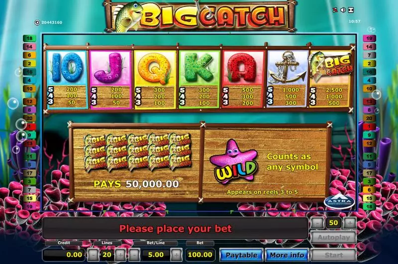 Big Catch slots Info and Rules