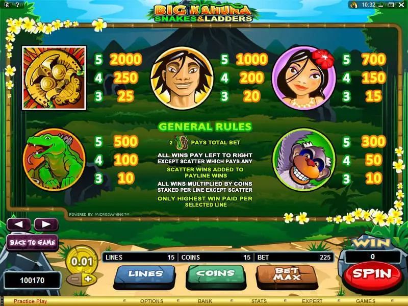 Big Kahuna - Snakes and Ladders slots Info and Rules