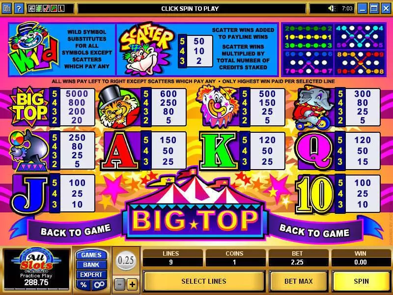 Big Top slots Info and Rules