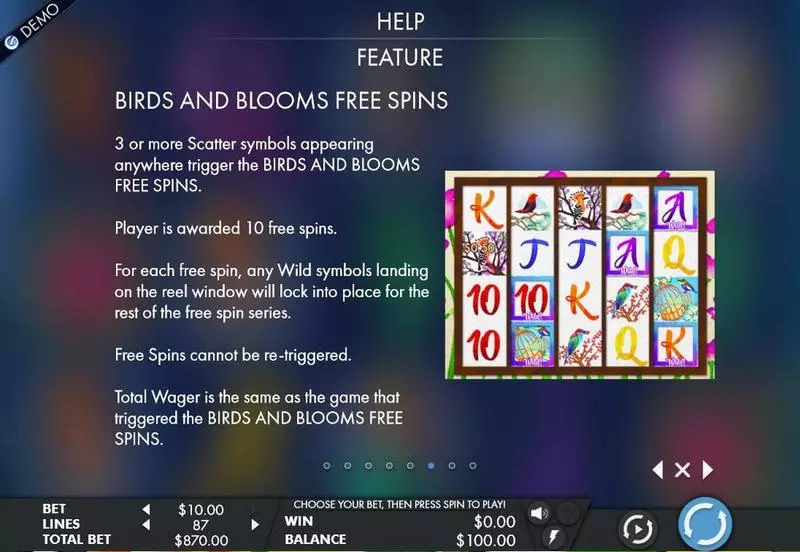 Birds & Blooms slots Info and Rules