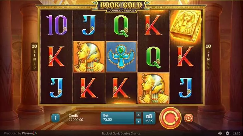 Book of Gold: Double Chance slots Main Screen Reels