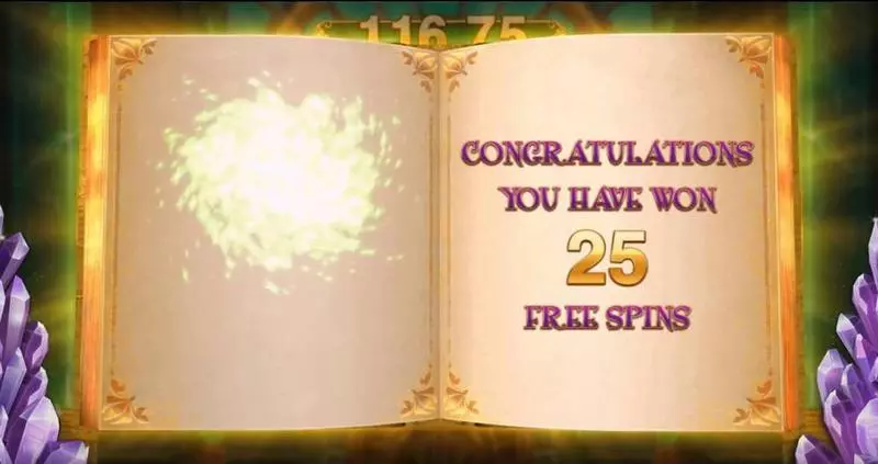 Book of Oz Lock ‘N Spin slots Free Spins Feature