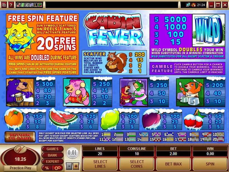 Cabin Fever slots Info and Rules