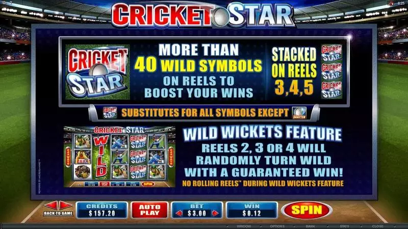 Cricket Star slots Info and Rules