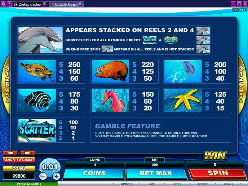 Dolphin Coast slots Info and Rules