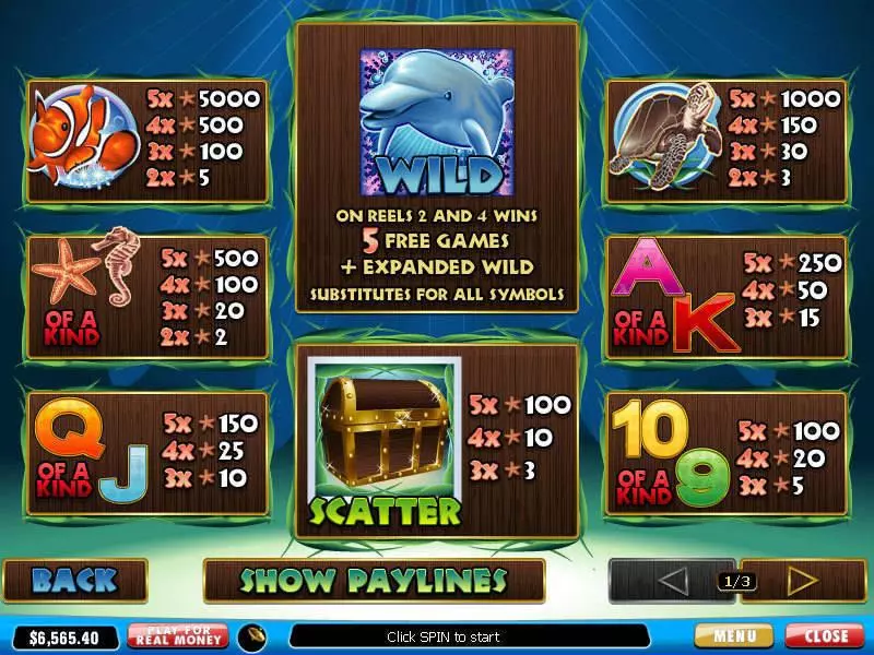 Dolphin Reef slots Info and Rules