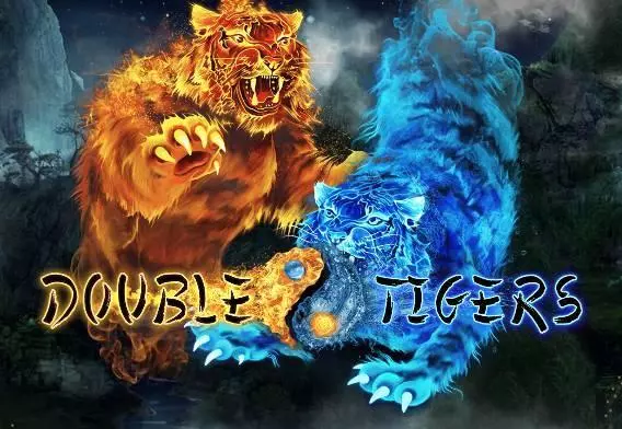 Double Tigers slots Info and Rules