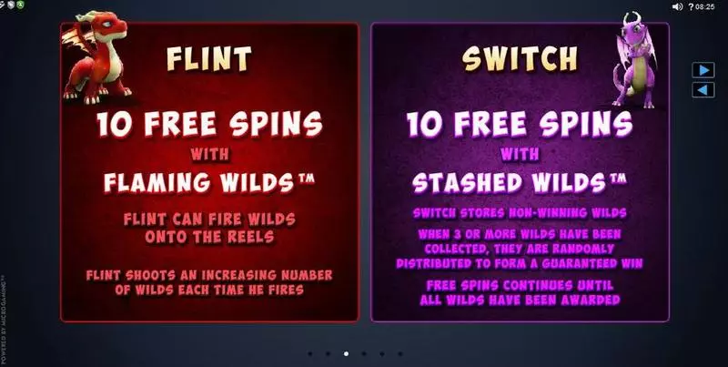 Dragonz slots Info and Rules