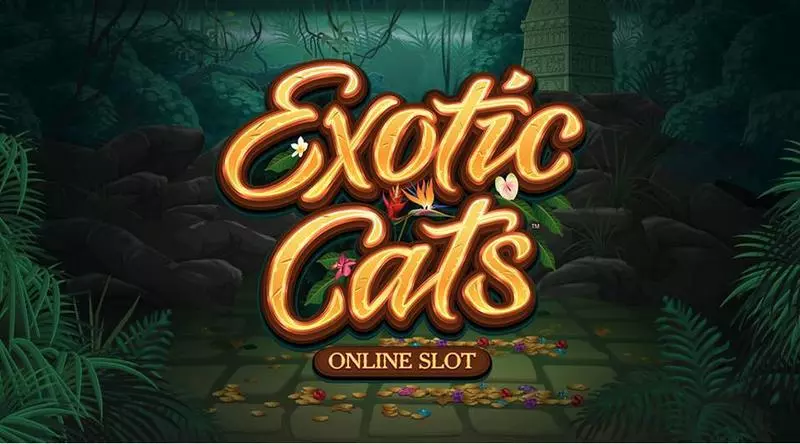 Exotic Cats slots Info and Rules