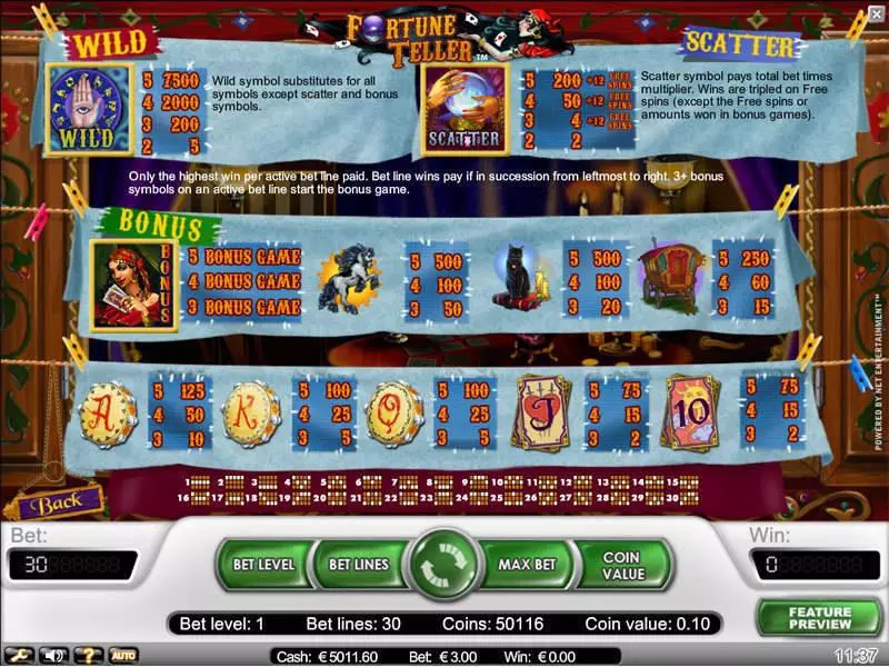Fortune Teller slots Info and Rules
