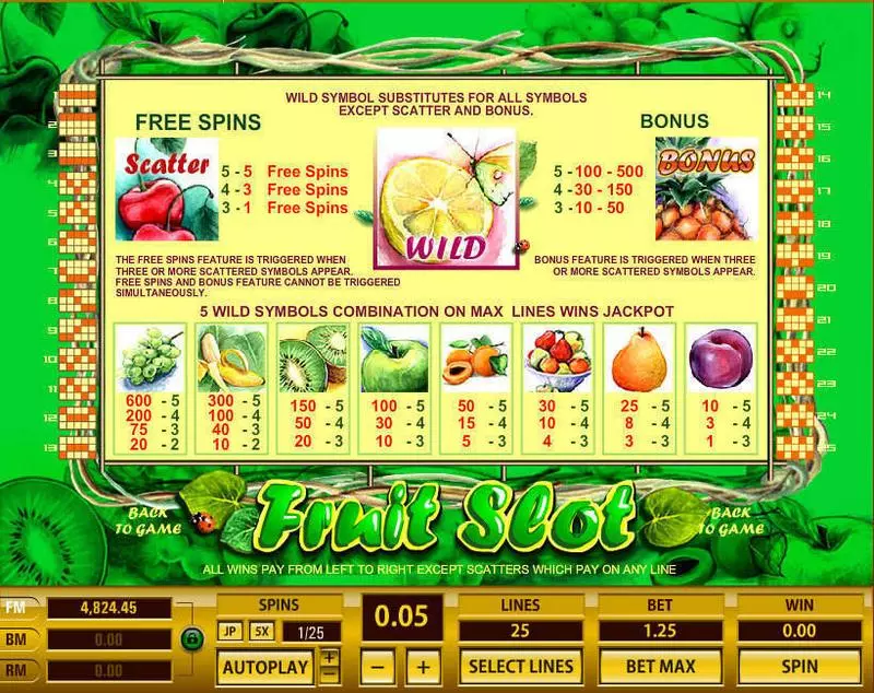 Fruit 25 Lines slots Info and Rules