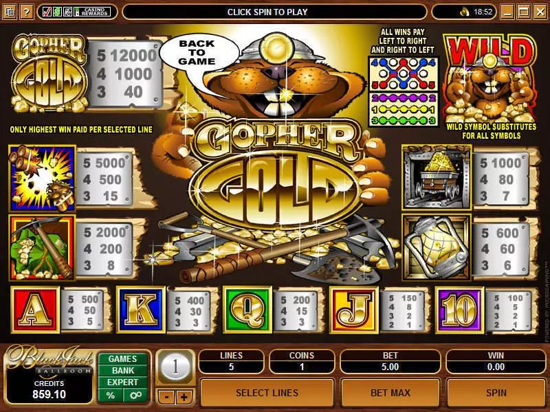 Gopher Gold slots Info and Rules