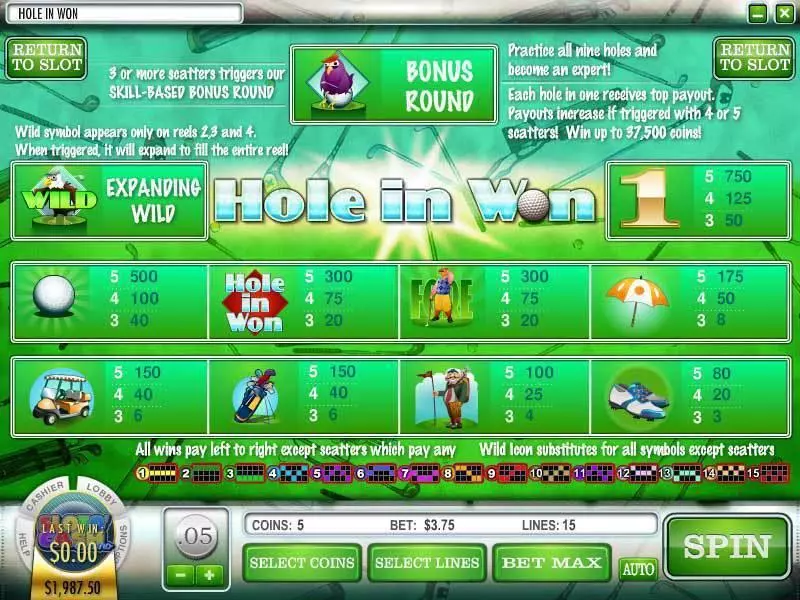 Hole in Won slots Info and Rules