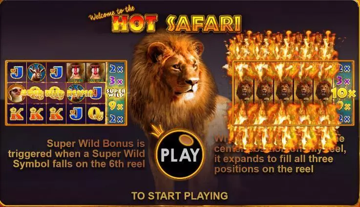 Hot Safari slots Info and Rules