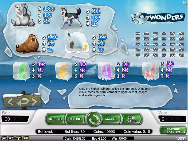 Icy Wonders slots Info and Rules