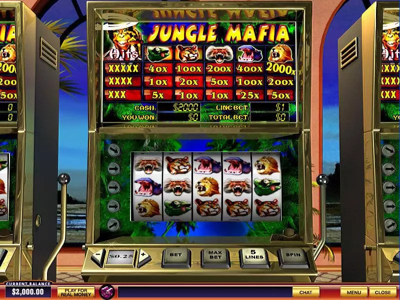 Jungle Mafia slots Main Screen Reels