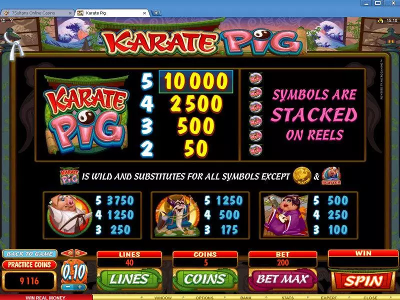 Karate Pig slots Info and Rules