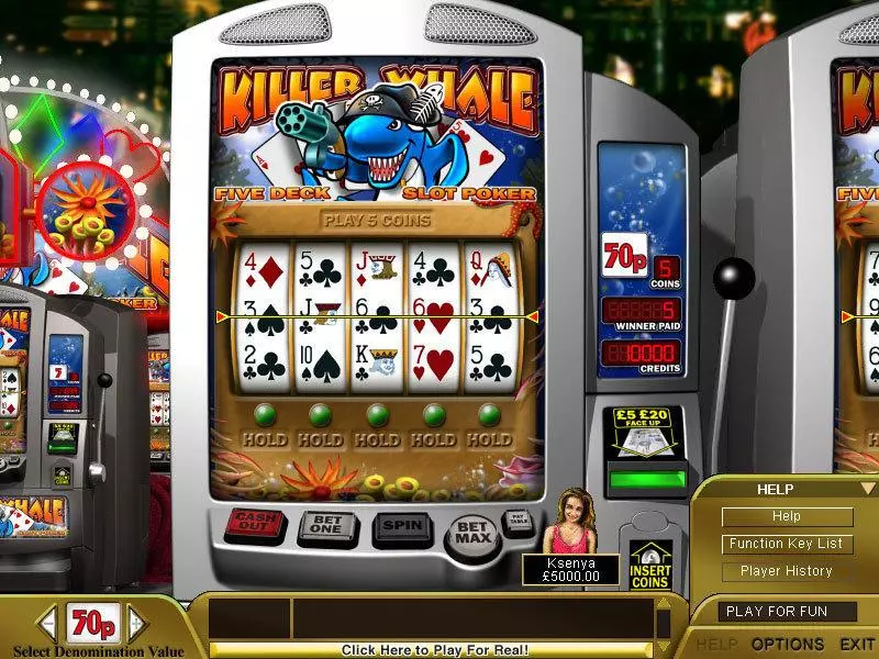 Killer Whale Poker slots Main Screen Reels