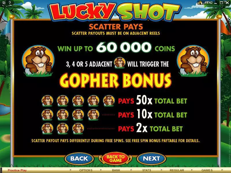 Lucky Shot slots Info and Rules