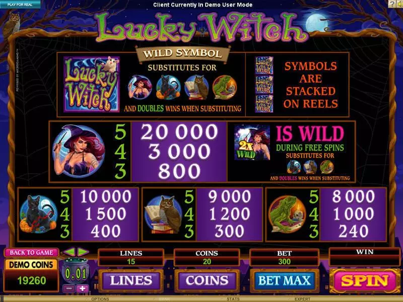 Lucky Witch slots Info and Rules