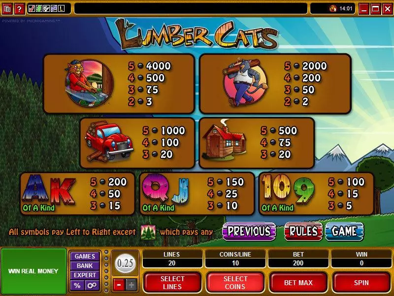 Lumber Cats slots Info and Rules