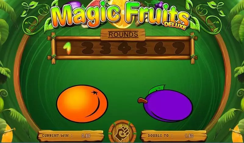 Magic Fruits Deluxe slots Gamble Winnings