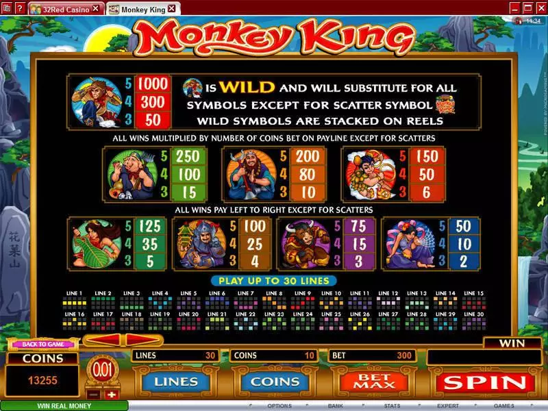 Monkey King slots Info and Rules