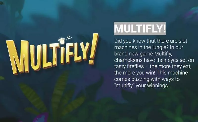 Multifly! slots Info and Rules