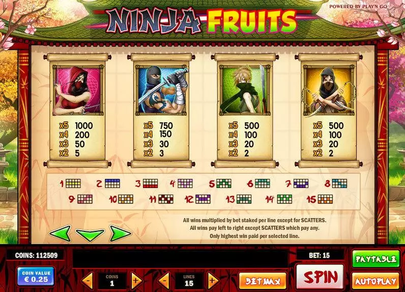 Ninja Fruits slots Info and Rules