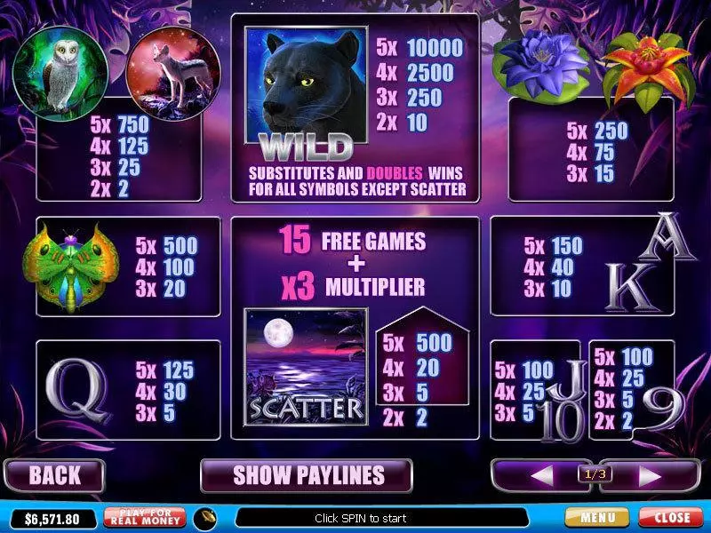 Panther Moon slots Info and Rules