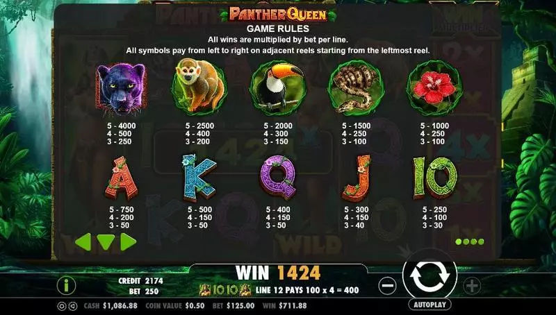 Panther Queen slots Info and Rules