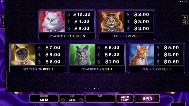 Pretty Kitty slots Info and Rules