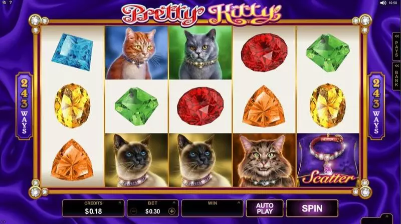 Pretty Kitty slots Introduction Screen