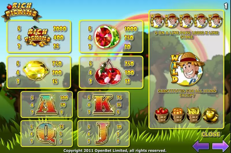 Rich Pickins slots Info and Rules