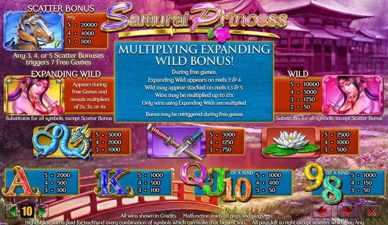 Samurai Princess slots Info and Rules