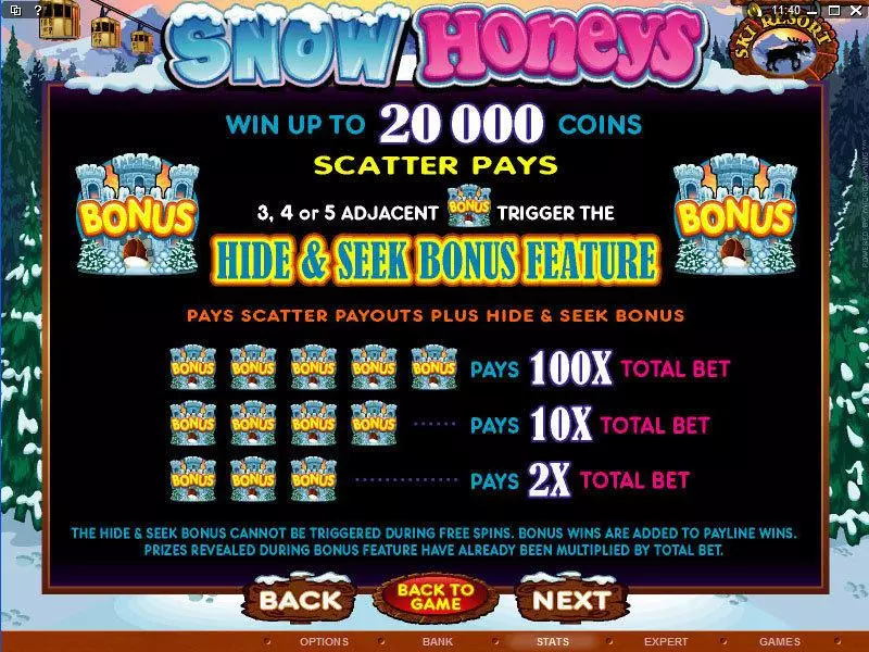 Snow Honeys slots Info and Rules