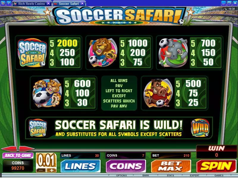 Soccer Safari slots Info and Rules