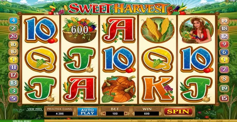 Sweet Harvest slots Bonus 1