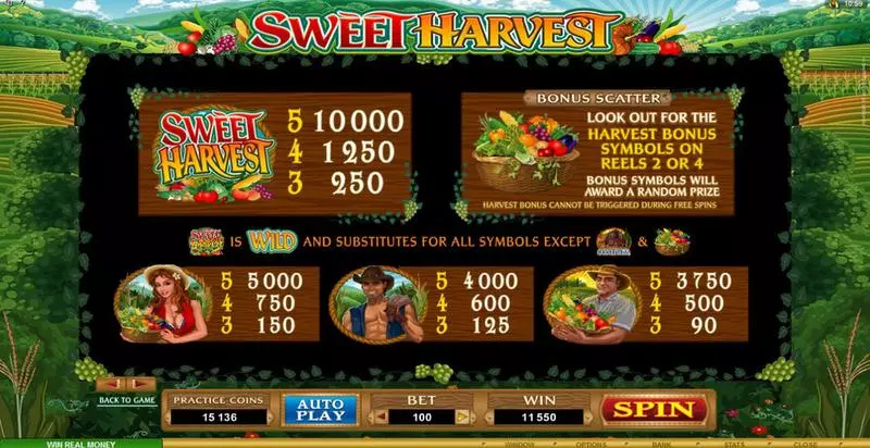 Sweet Harvest slots Info and Rules