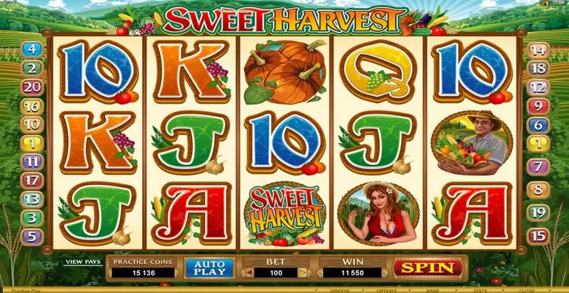 Sweet Harvest slots Main Screen Reels