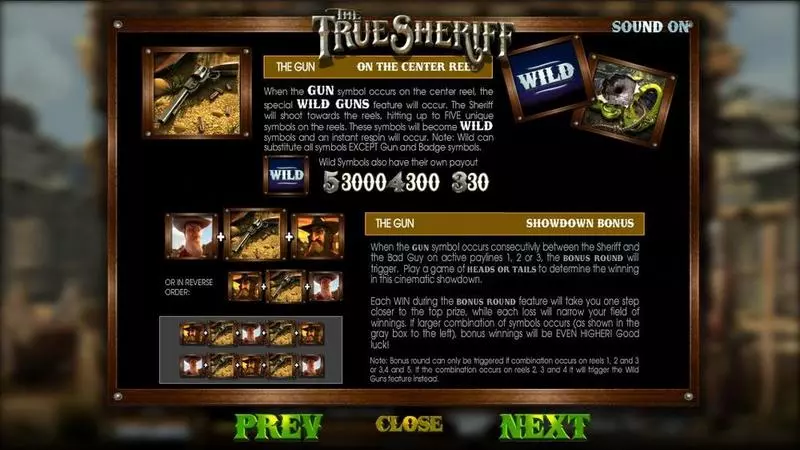 The True Sheriff slots Info and Rules