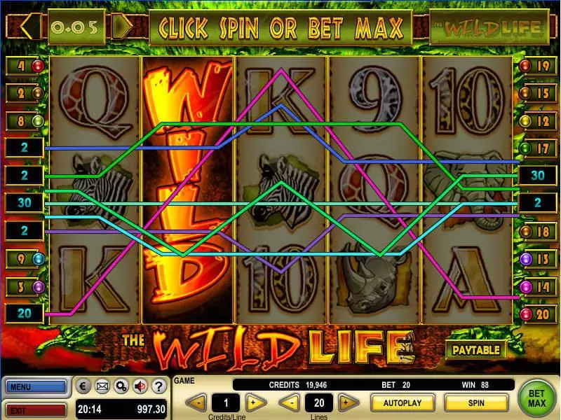 The Wild Life slots Bonus 1