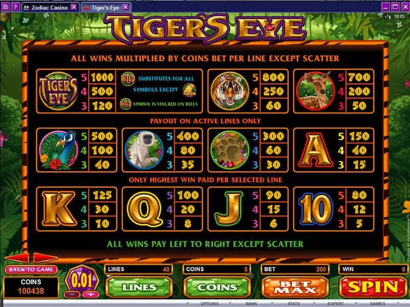 Tiger's Eye slots Info and Rules