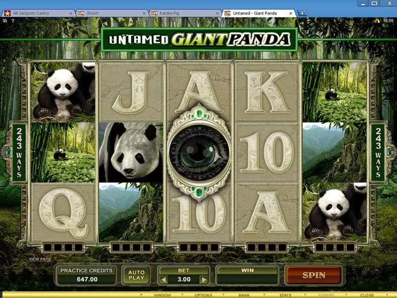 Untamed - Giant Panda slots Main Screen Reels