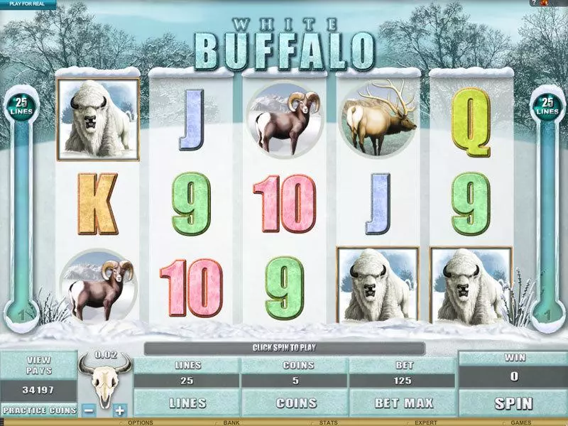 White Buffalo slots Main Screen Reels