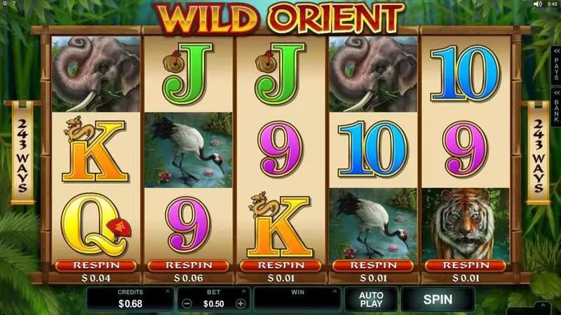 Wild Orient slots Introduction Screen